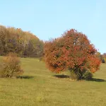 Ubytování v soukromí Casa Spas *