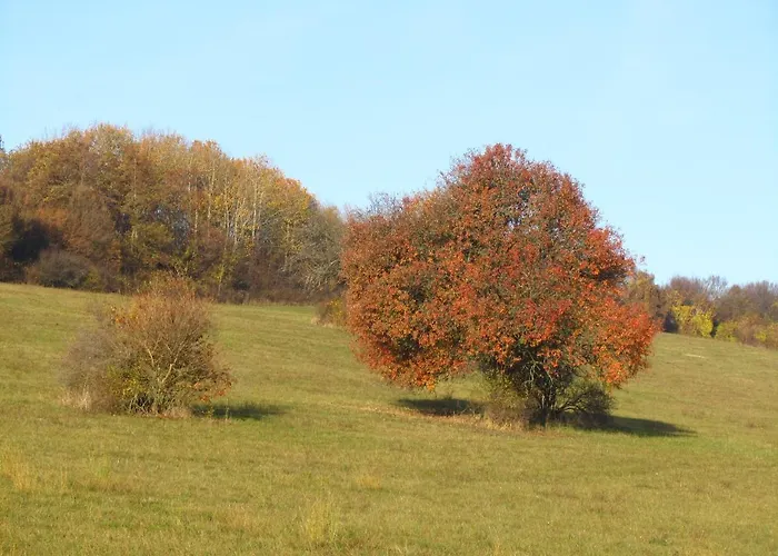 Homestay szállás Casa Spas *